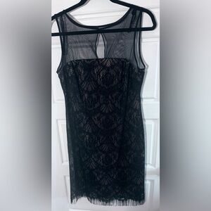 NWT Beautiful Dress Lace Over Tan Silk Slik